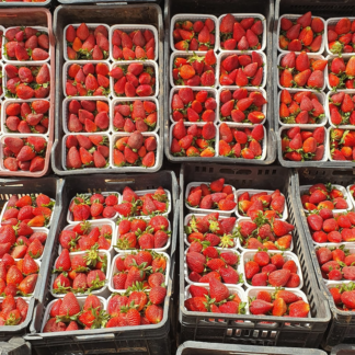 Strawberry