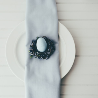 Egg Video