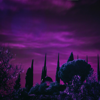 Galaxy Knife Purple