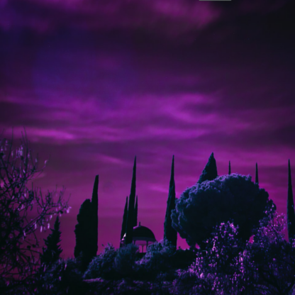 Galaxy Knife Purple