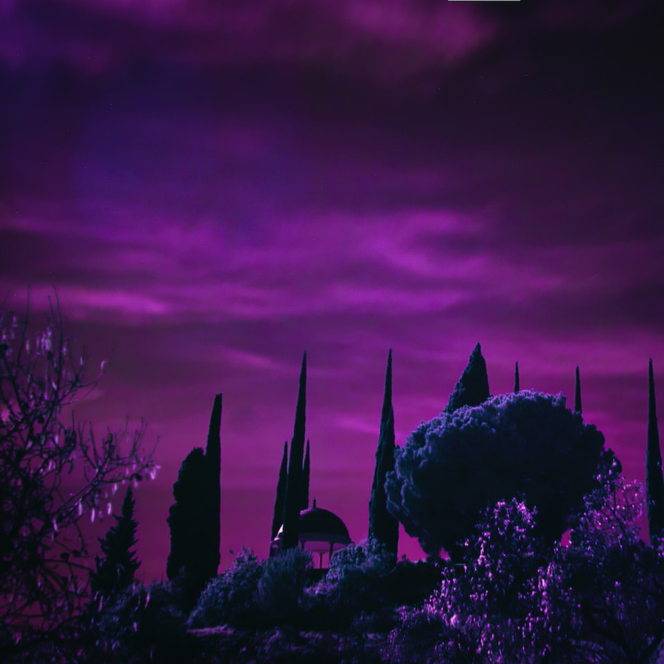 Galaxy Knife Purple