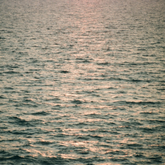 Wet Film