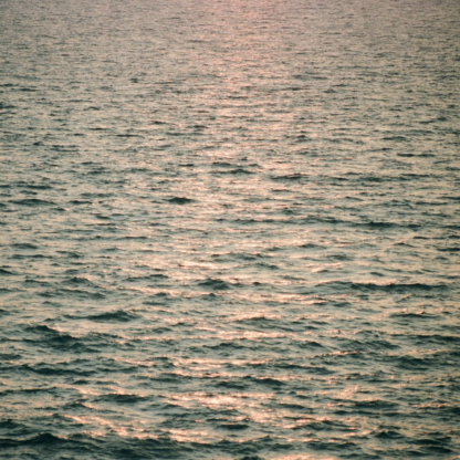 Wet Film