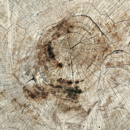 Wood CD