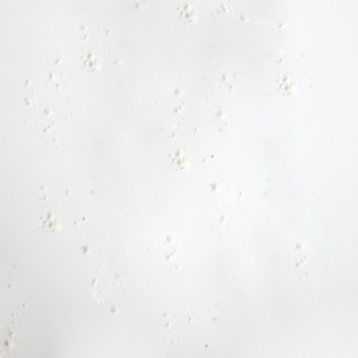 Cushion White