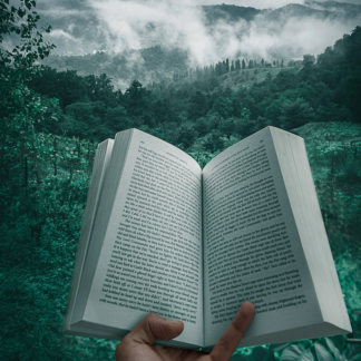 Book Silver