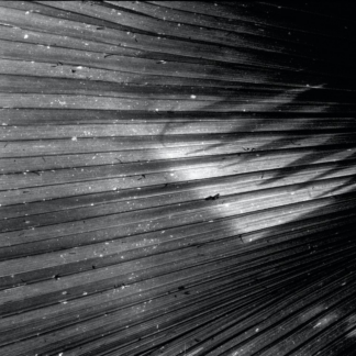 Card Washer Film