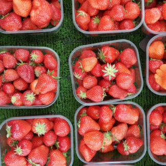 Strawberry Blender