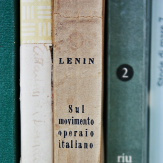 Shoe Potato Book