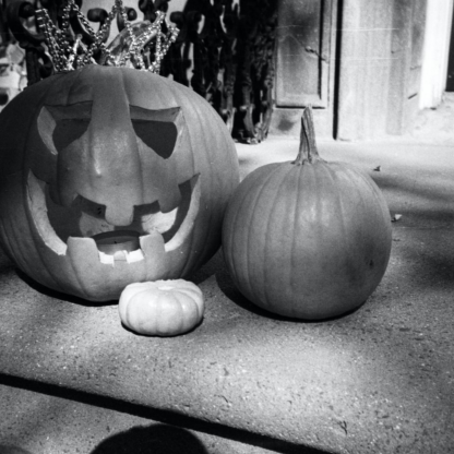 Chicken Jazz Pumpkin ACME