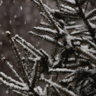 Cold Chair