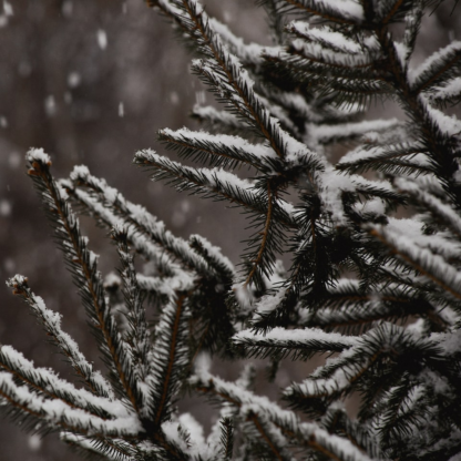 Cold Chair