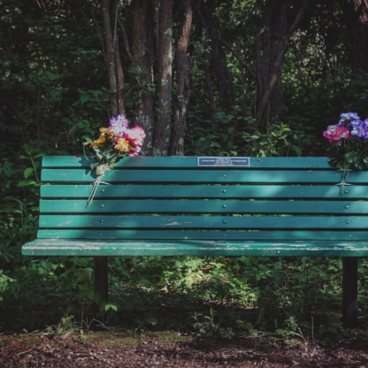 Album Seat