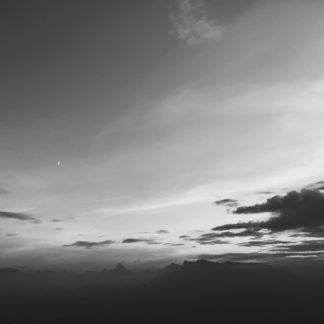 Movie Grey