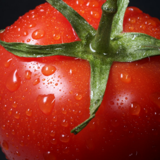 Bikini Wood Tomato