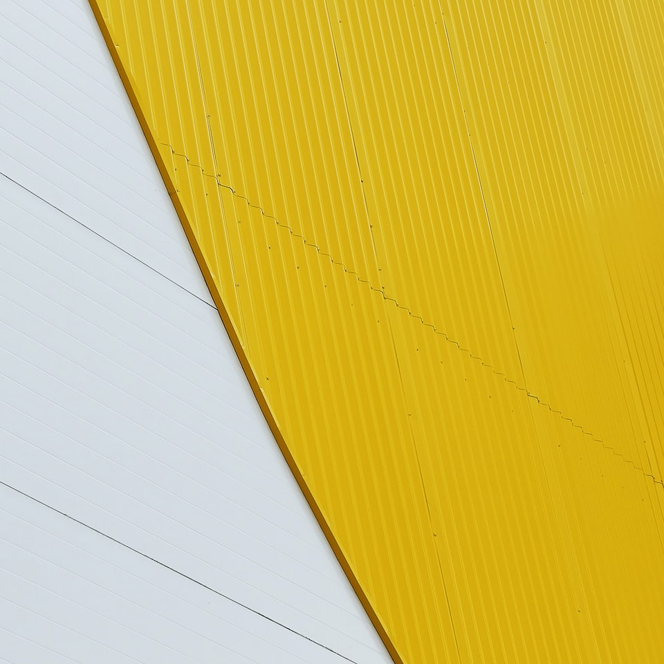 Water Yellow Lavender