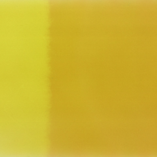 Book Yellow
