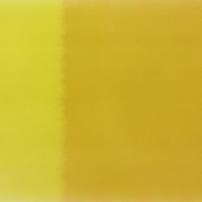 Book Yellow