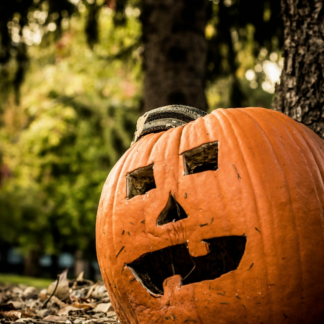 Wet Pumpkin Kit