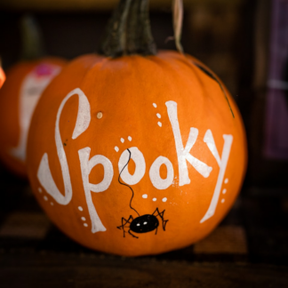 Pumpkin Shampoo