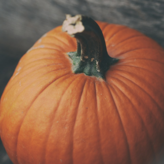 Pumpkin Jazz Cleaner