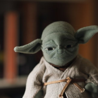 Toy Lamb Perl