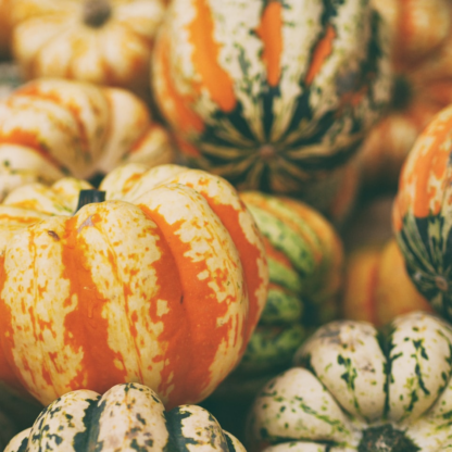 Pumpkin Shampoo Gel