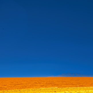 Carrot Brown