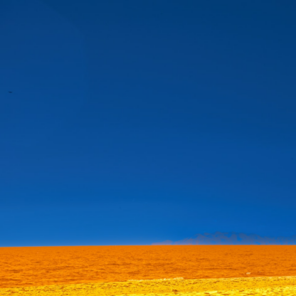 Carrot Brown