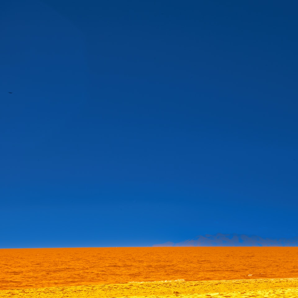 Carrot Brown