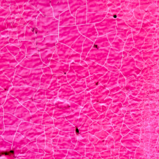 Thermal Pink Princess