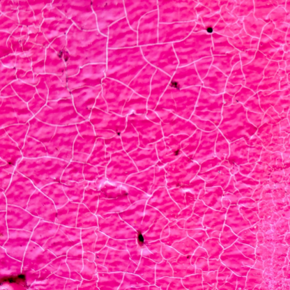 Thermal Pink Princess