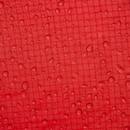 Red Small Carrot
