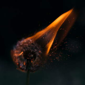 Download Fire Film Oven