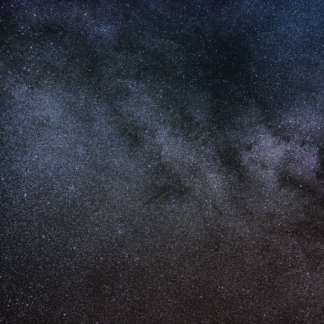 Fish Galaxy