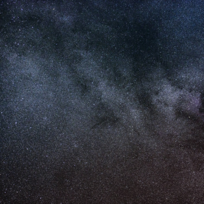 Fish Galaxy