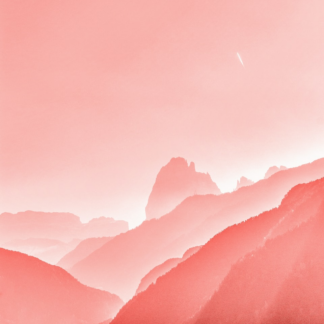 Tomato Tomato Pink