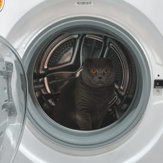 Washer Trouser