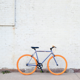 Bike Refrigerator Wood