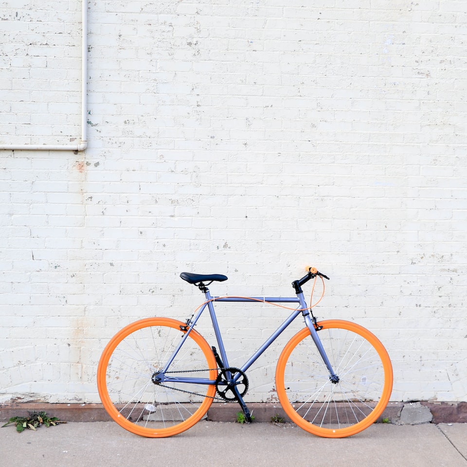 Bike Refrigerator Wood
