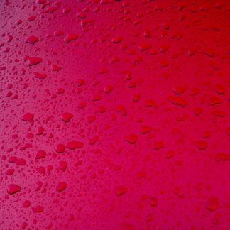 Red Lavender