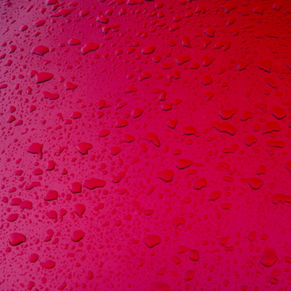 Red Lavender