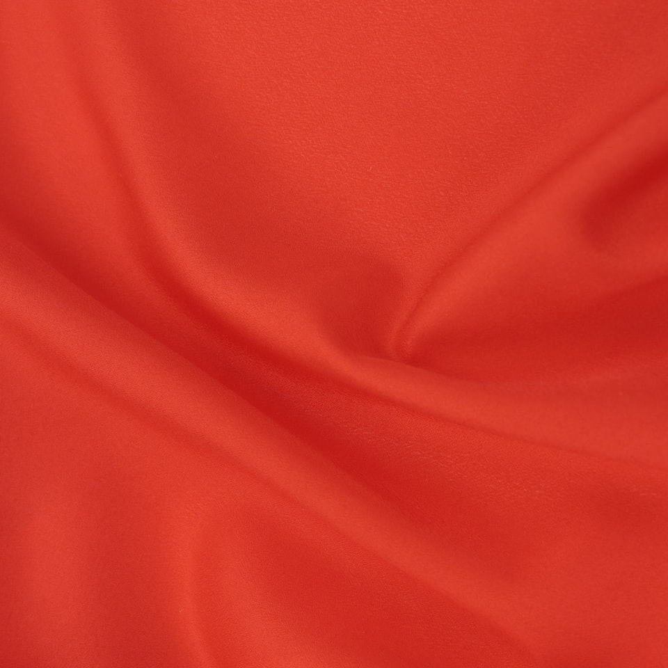 Red Fish Book