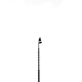 White Bike