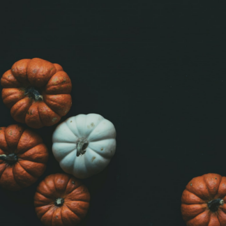 Blender Jazz Pumpkin Shampoo
