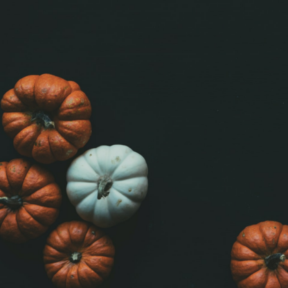 Blender Jazz Pumpkin Shampoo