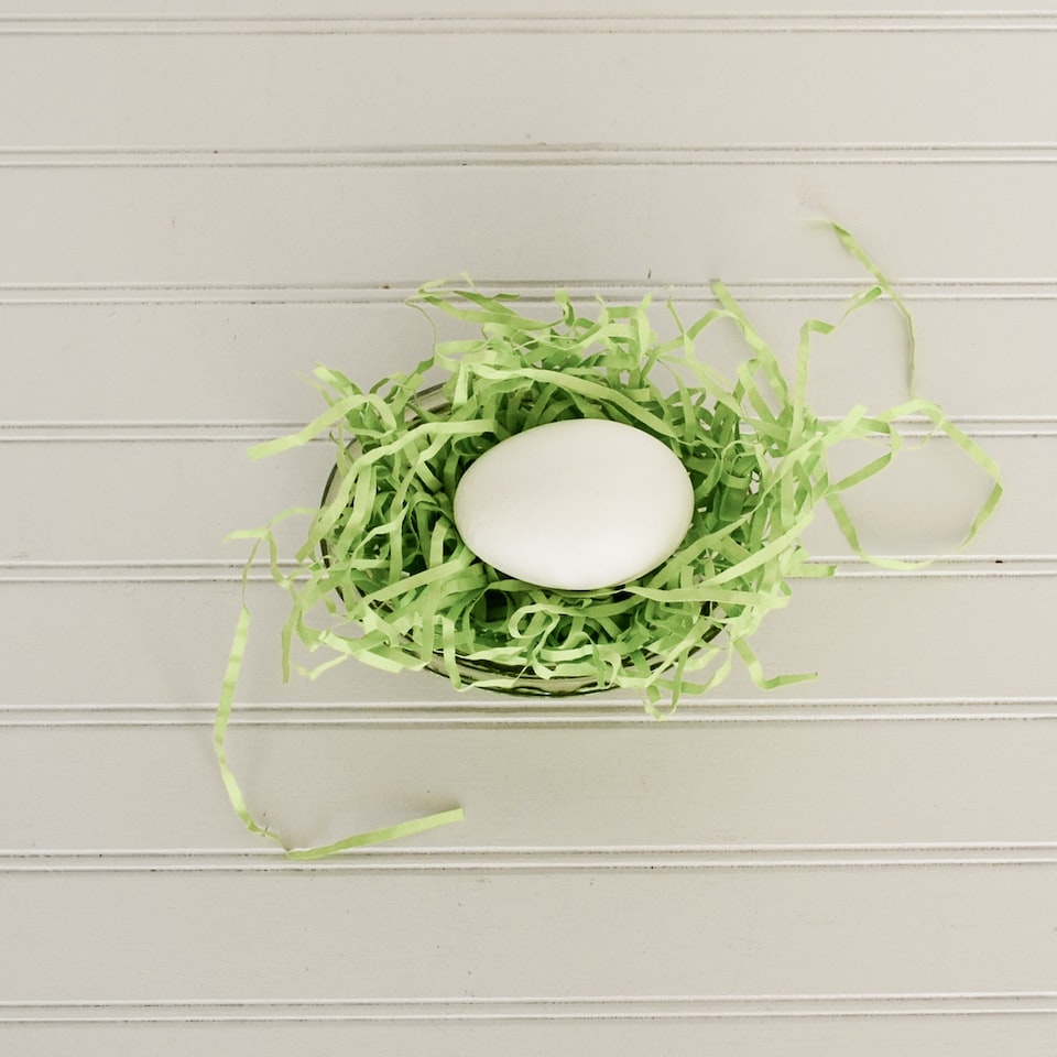 Tomato Cleaner Egg