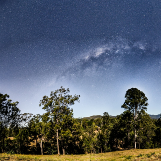Lamb Galaxy