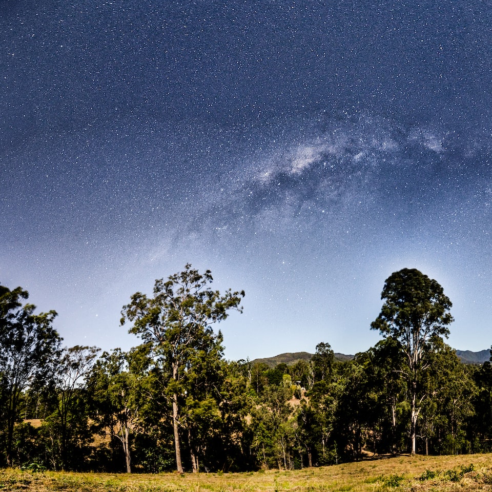 Lamb Galaxy