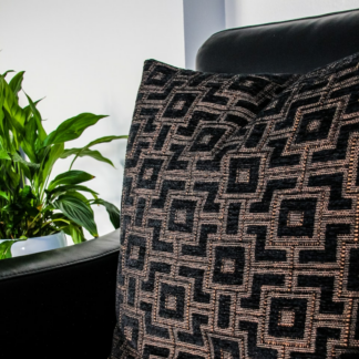 Wet Gift Cushion